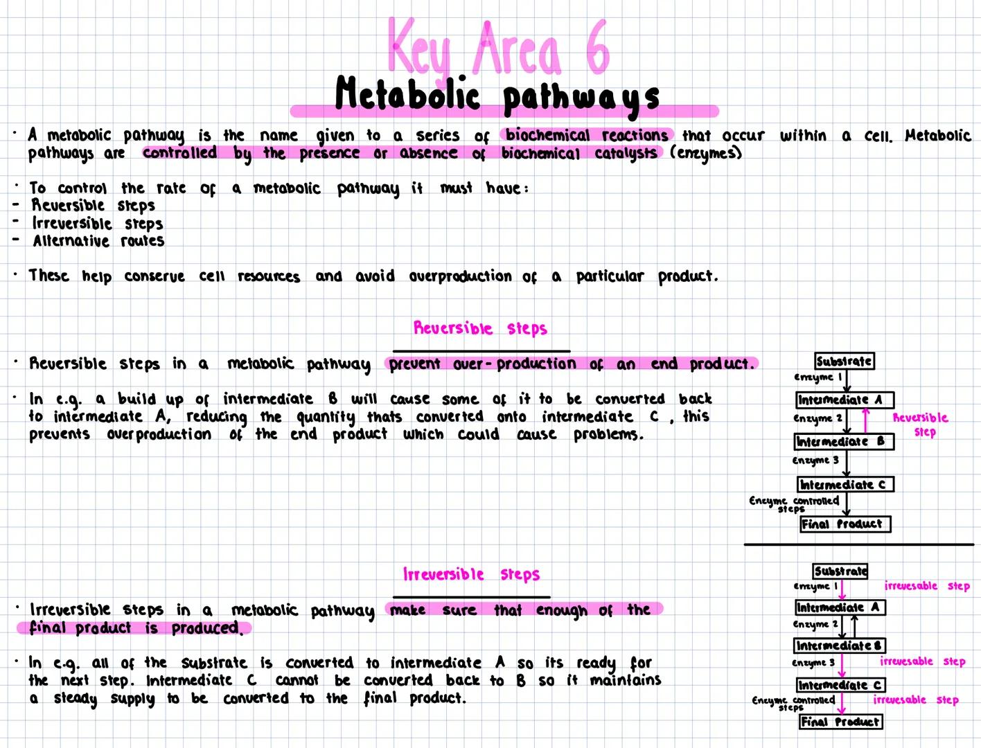 Key Area 6
Metabolic pathways
- A metabolic pathway is the name given to a series of biochemical reactions that occur within a cell. Metabo