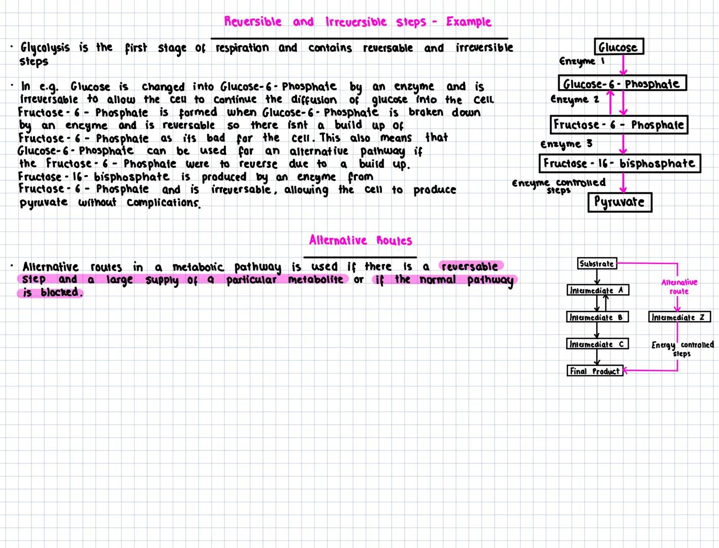 Key Area 6
Metabolic pathways
- A metabolic pathway is the name given to a series of biochemical reactions that occur within a cell. Metabo