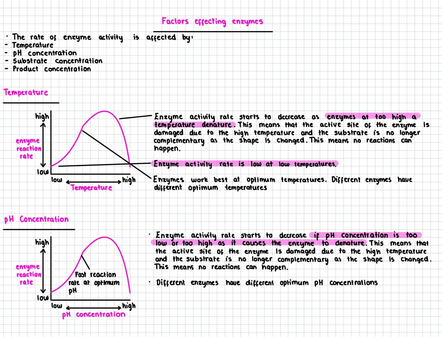 Key Area 6
Metabolic pathways
- A metabolic pathway is the name given to a series of biochemical reactions that occur within a cell. Metabo