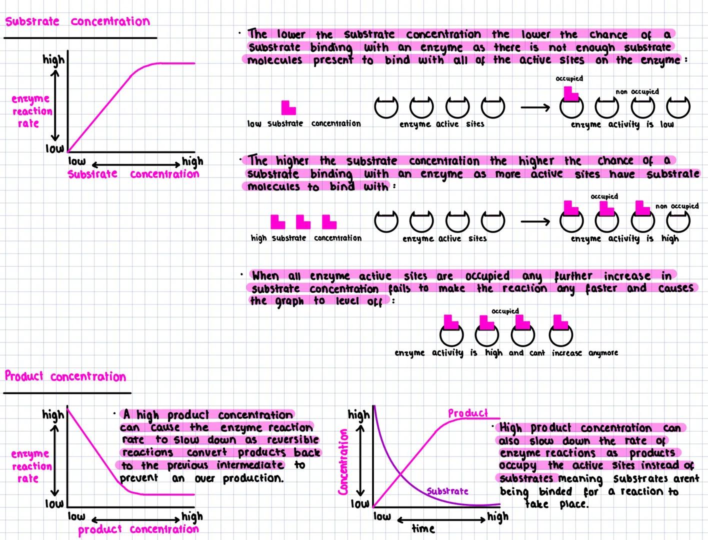 Key Area 6
Metabolic pathways
- A metabolic pathway is the name given to a series of biochemical reactions that occur within a cell. Metabo