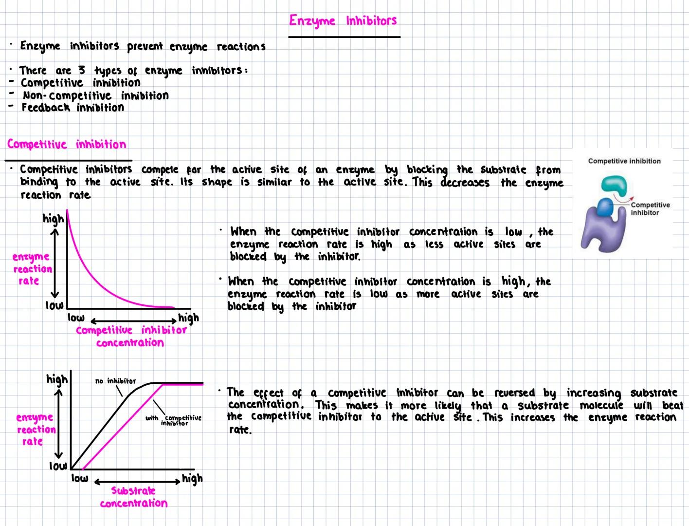 Key Area 6
Metabolic pathways
- A metabolic pathway is the name given to a series of biochemical reactions that occur within a cell. Metabo