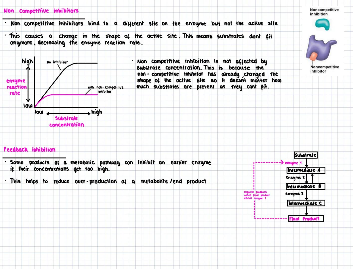 Key Area 6
Metabolic pathways
- A metabolic pathway is the name given to a series of biochemical reactions that occur within a cell. Metabo