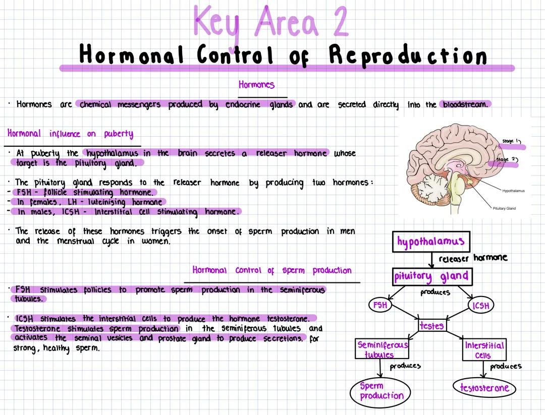 2.2 - Hormonal control of reproduction