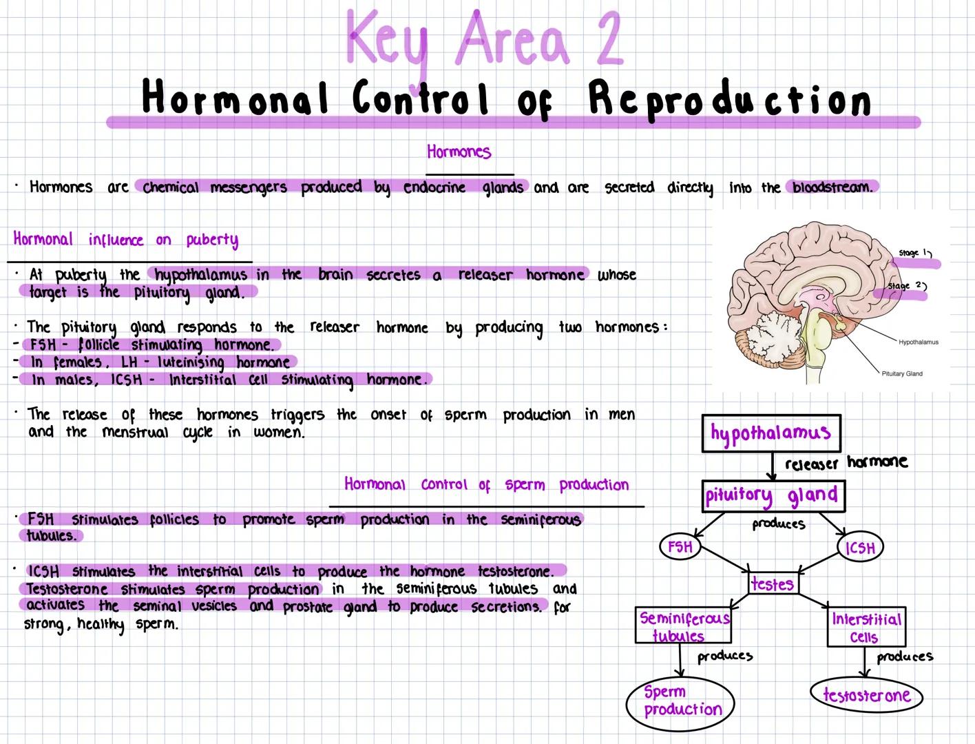 # Key Area 2
# Hormonal Control of Reproduction
Hormones
- Hormones are chemical messengers produced by endocrine glands and are secreted