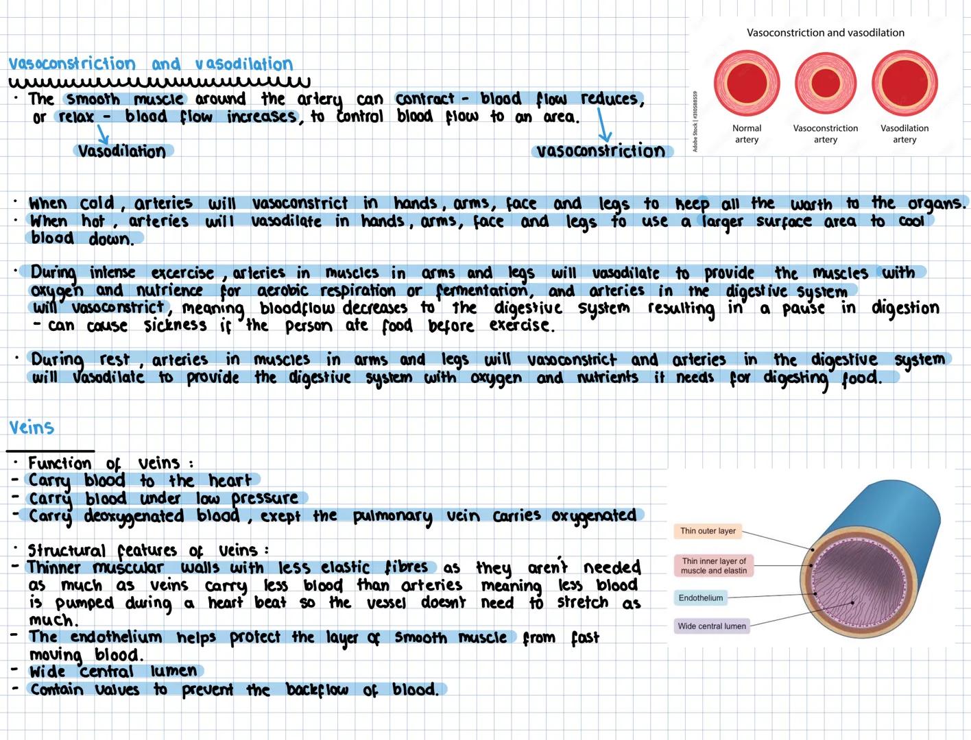 # Key Area 5
The structure and function of Arteries,
capillaries and veins
The Cardiovascular System
• The cariovascular system is a conn