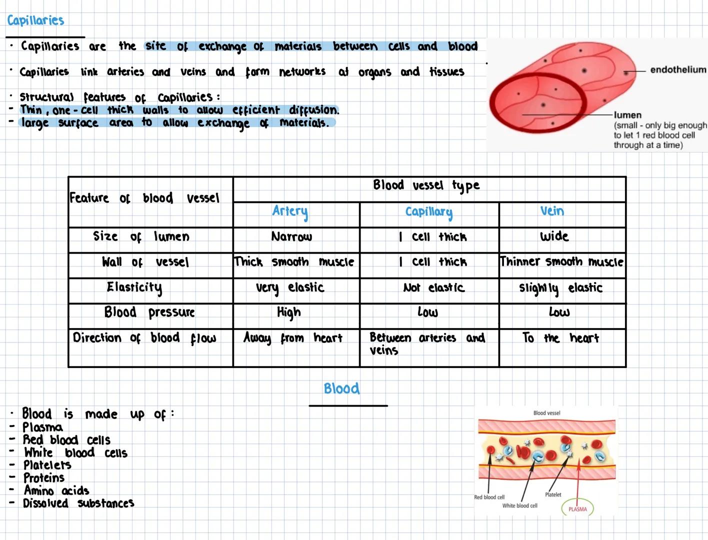 # Key Area 5
The structure and function of Arteries,
capillaries and veins
The Cardiovascular System
• The cariovascular system is a conn