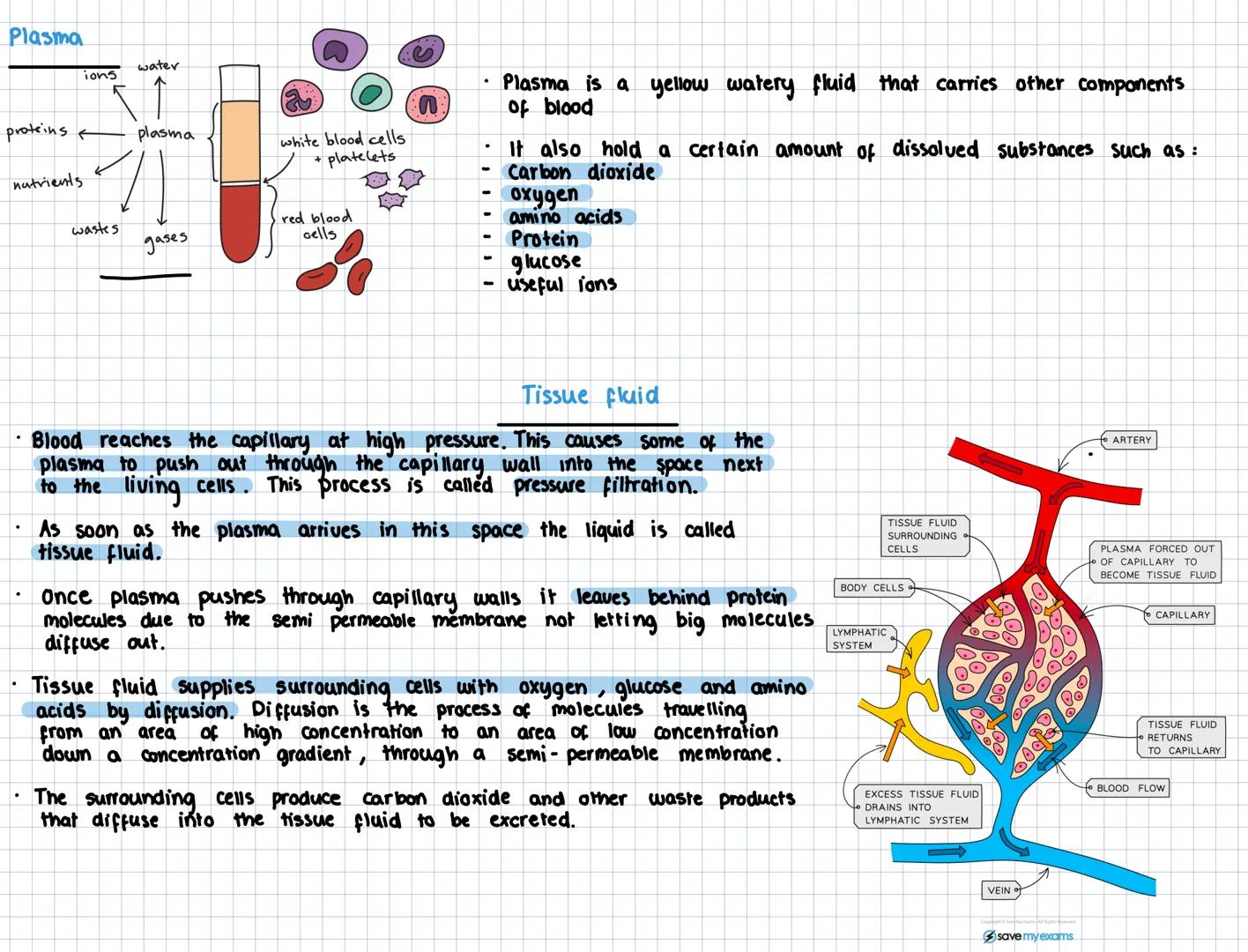 # Key Area 5
The structure and function of Arteries,
capillaries and veins
The Cardiovascular System
• The cariovascular system is a conn