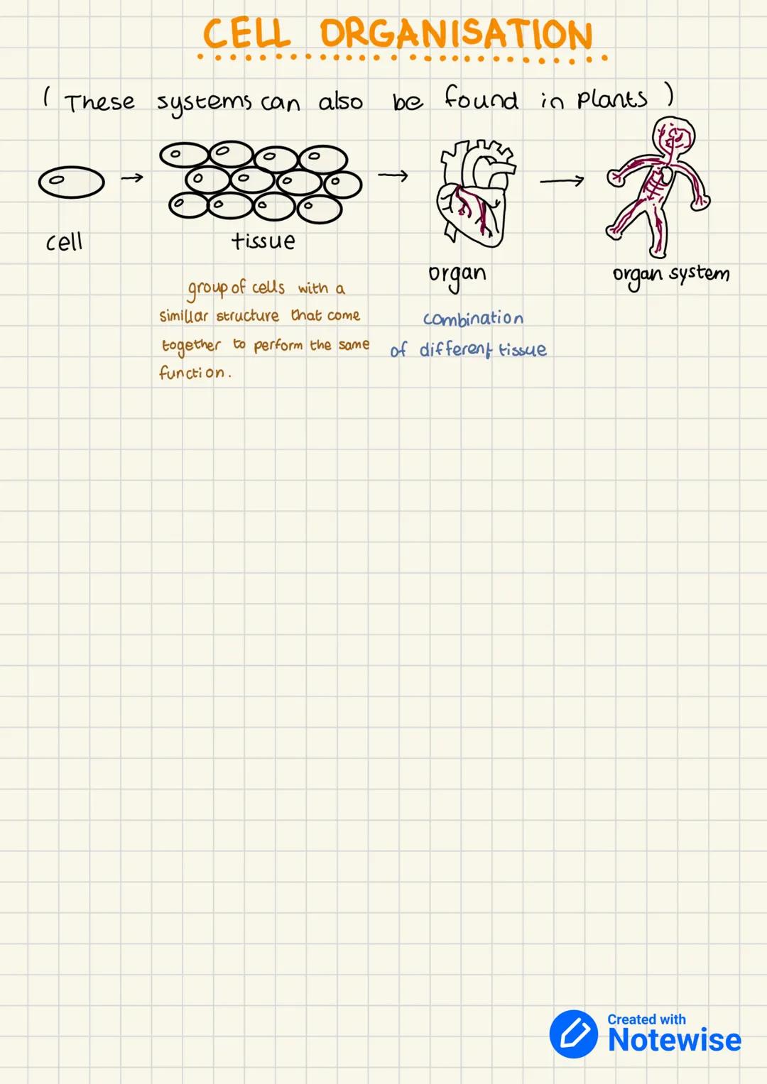 PRODUCING NEW
CELLS
we need new cells for growth and repair of damaged cells.
and tissue.
unicellular (single cell) organism e.g. Amoeba, Ba