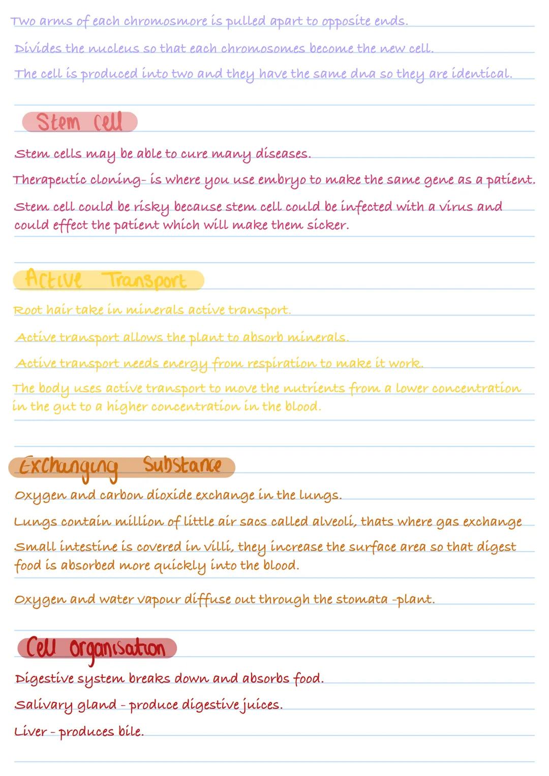 Animal and plant cell
Animal cell
X8000
Cytoplasm
Nucleus
Ribosome
Mitochondrion
Cell membrane
Plant cell
Chloroplast Vacuole Cell wall
Fou