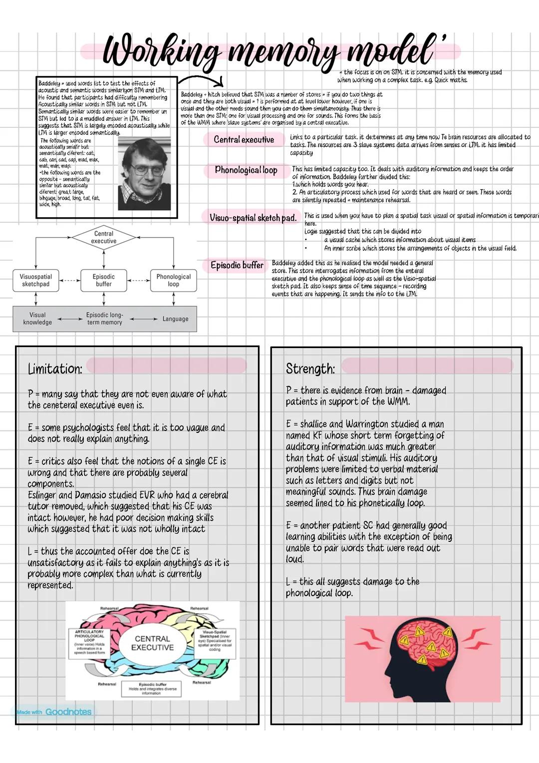 Psychology AQA paper 1: Working memory model