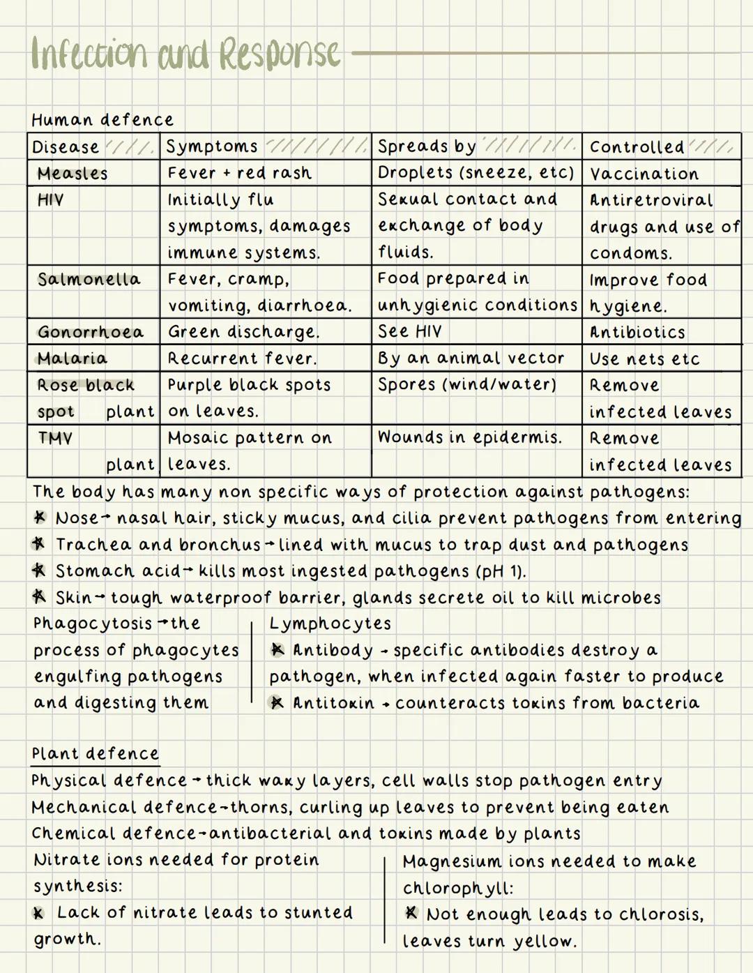 Infection and Response
Human defence
| Disease | Symptoms/ | Spreads by 1/1/1. | Controlled//// |
|---|---|---|---|
| Measles | Fever + red