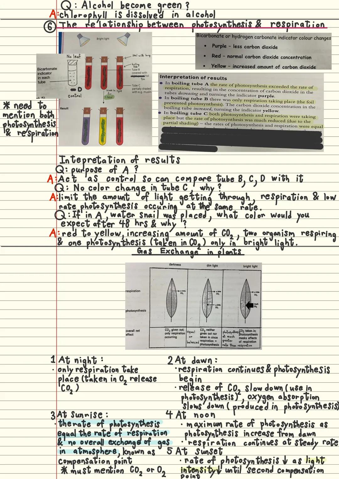 only take place in the
prescence of light energy
Photosynthesis
photosynthesis An endothermic process in plants which light energy is trappe