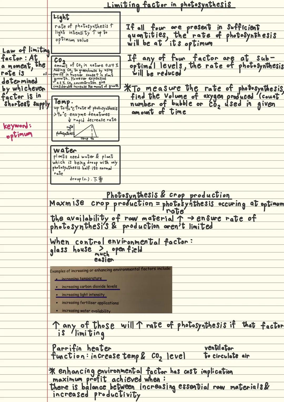 only take place in the
prescence of light energy
Photosynthesis
photosynthesis An endothermic process in plants which light energy is trappe
