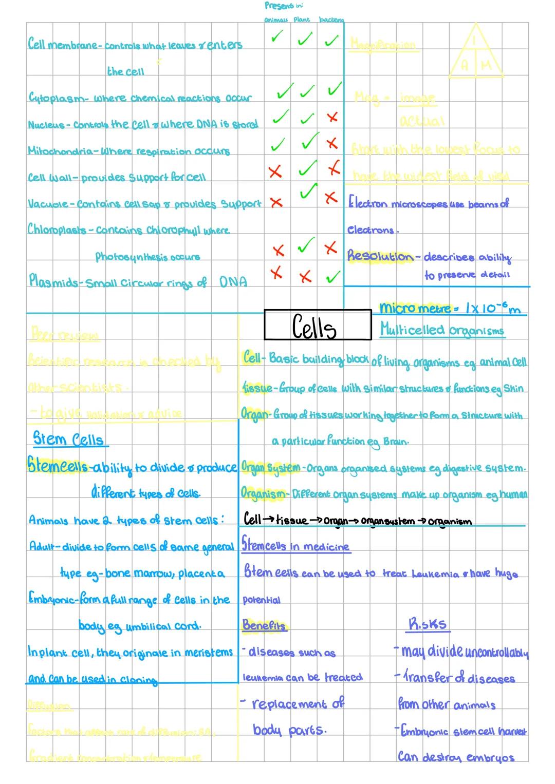 Cell membrane-controls what leaves renters
the cell
Cytoplasm- where chemical reactions occur
Present in
animals Plant
bacteria
Nucleus-Cont