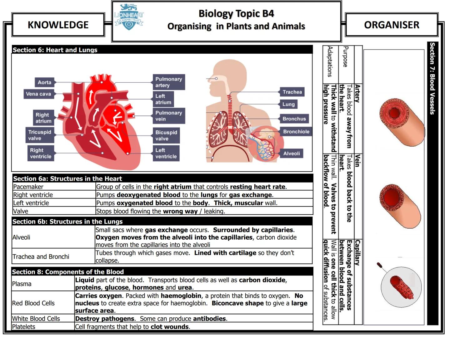 # Biology Topic B1
## Cell Structure and Transport
| KNOWLEDGE | ORGANISER |
|---|---|
### Section 1: Cell Structure
| Cell Structure | F