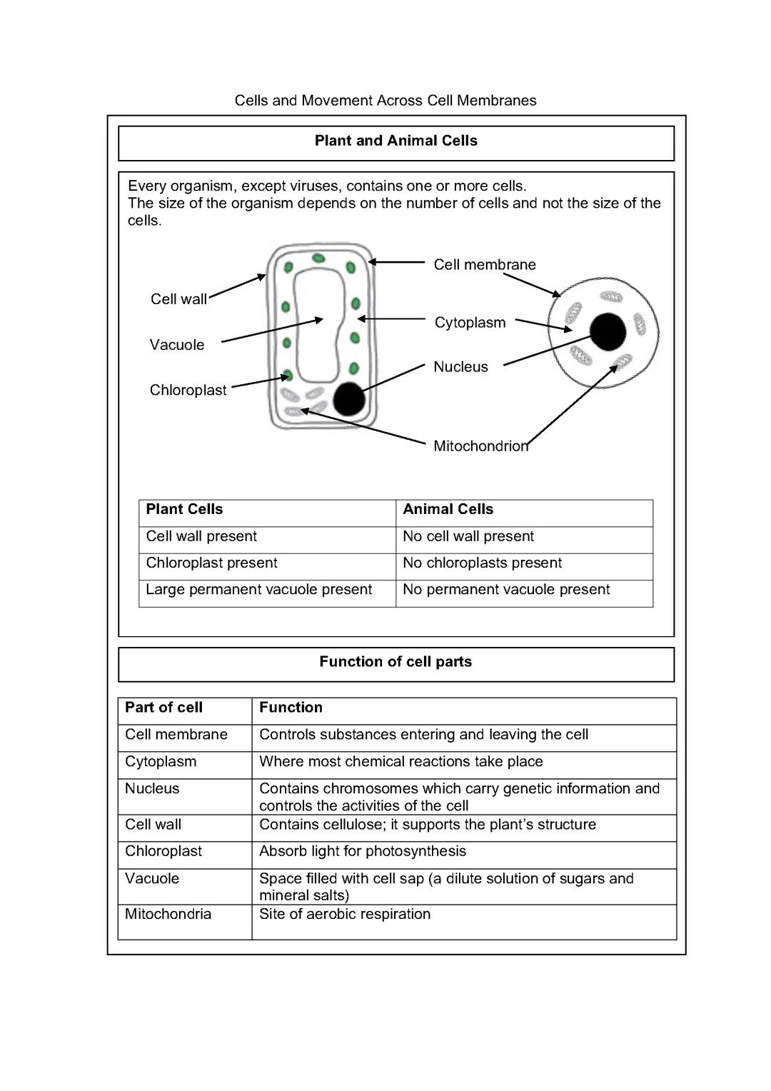 1.1 Cells And Movement Across Membranes