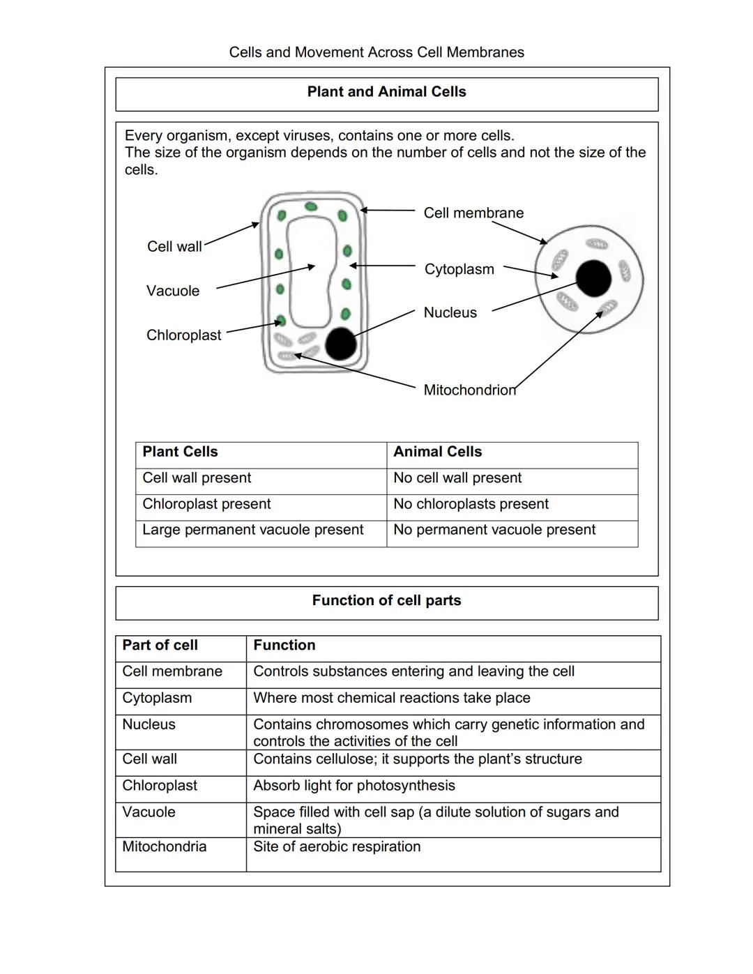 Cells and Movement Across Cell Membranes
Plant and Animal Cells
Every organism, except viruses, contains one or more cells.
The size of the