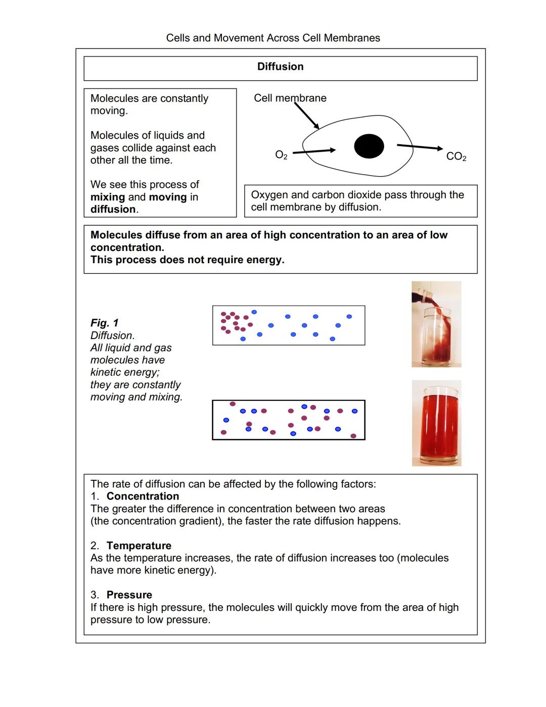 Cells and Movement Across Cell Membranes
Plant and Animal Cells
Every organism, except viruses, contains one or more cells.
The size of the