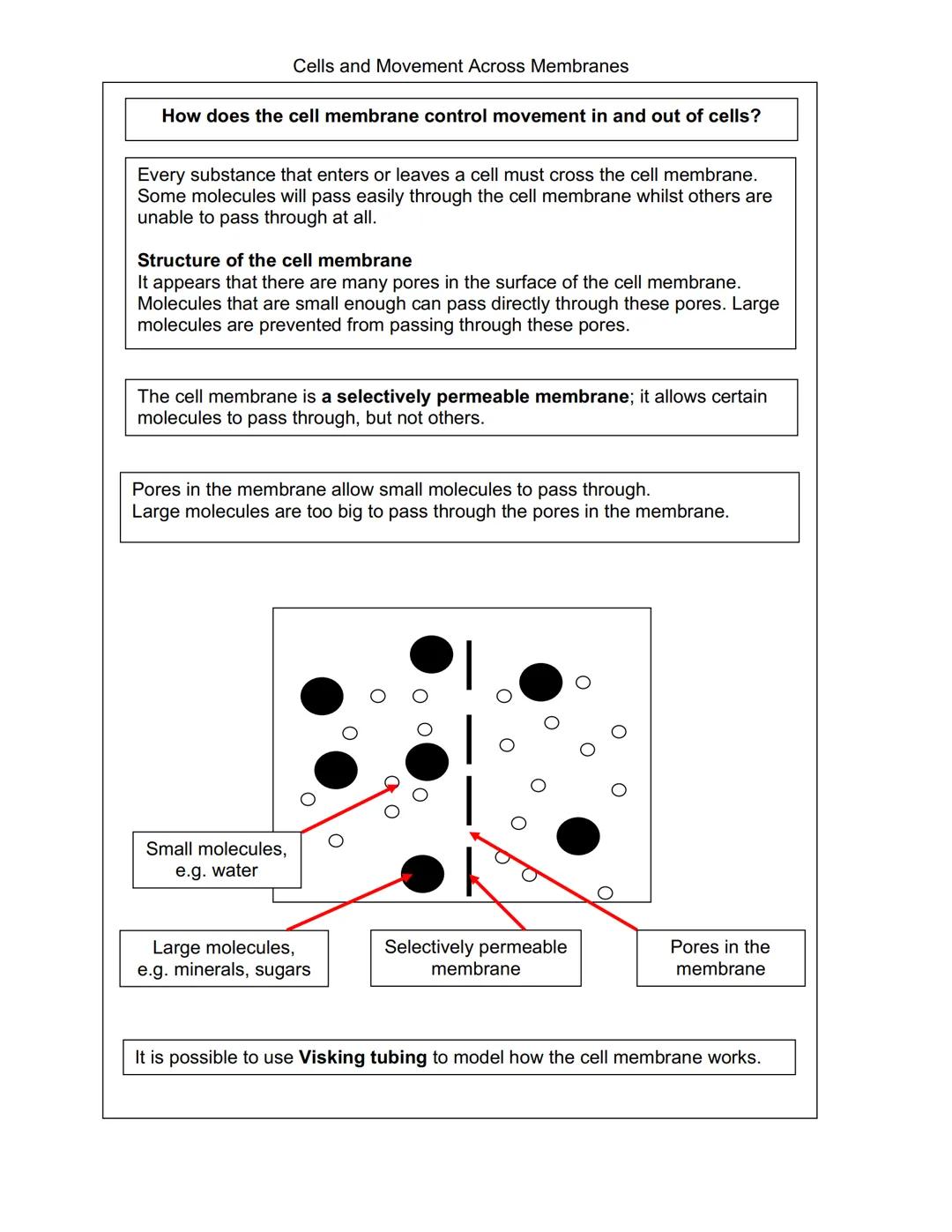 Cells and Movement Across Cell Membranes
Plant and Animal Cells
Every organism, except viruses, contains one or more cells.
The size of the