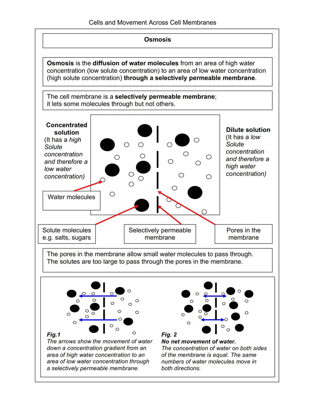 Cells and Movement Across Cell Membranes
Plant and Animal Cells
Every organism, except viruses, contains one or more cells.
The size of the