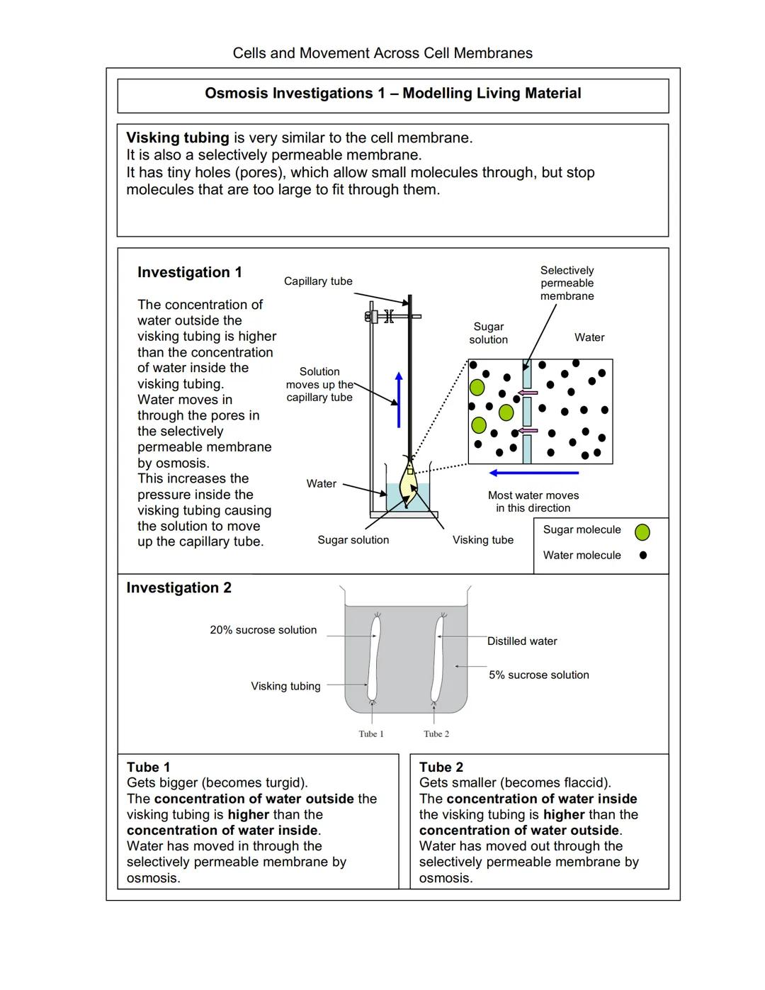 Cells and Movement Across Cell Membranes
Plant and Animal Cells
Every organism, except viruses, contains one or more cells.
The size of the