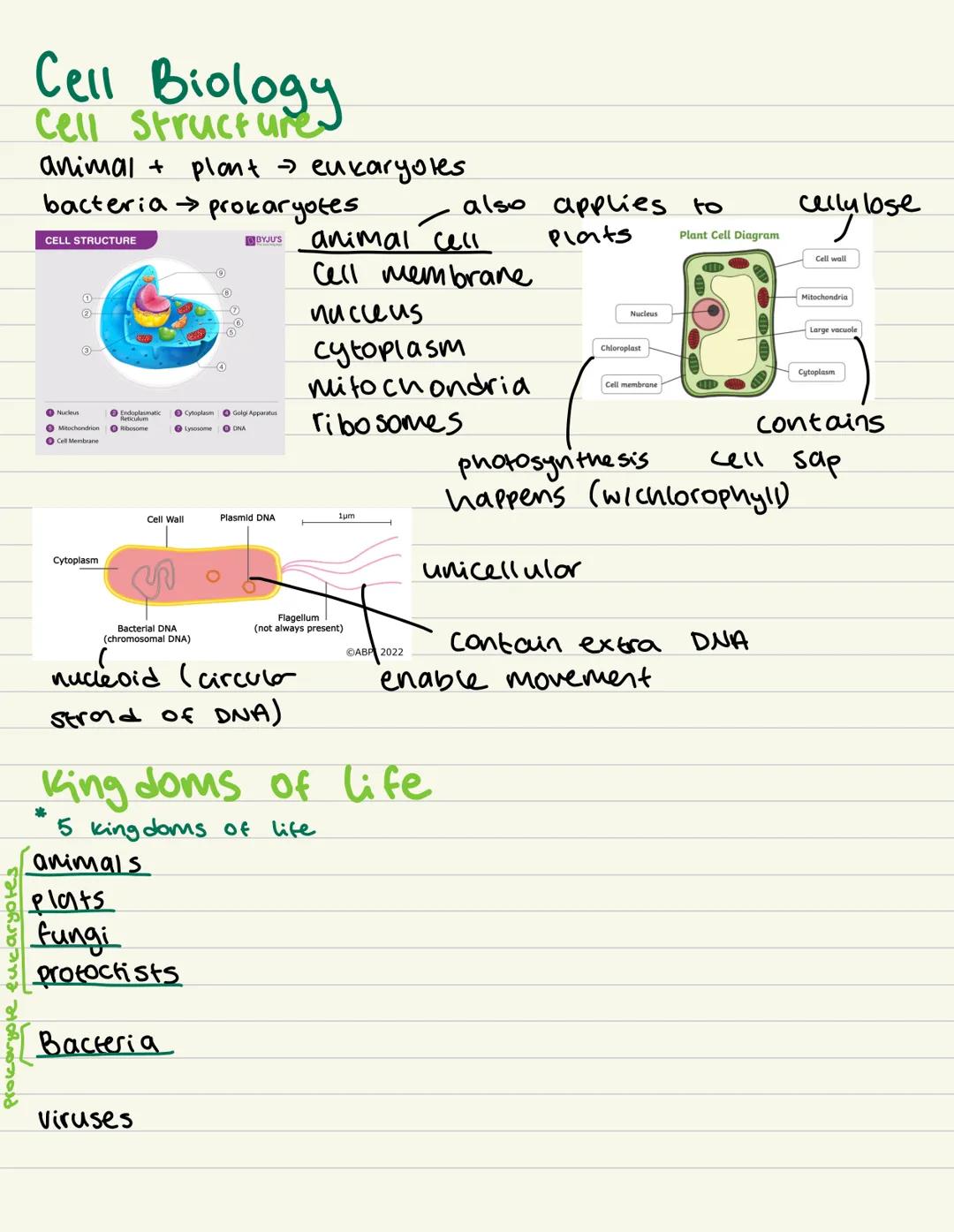 Prokaryote eukaryotes
Cell Biology
Cell Structures
animal plant - eukaryoles.
bacteria prokaryotes.
CELL STRUCTURE
BYJU'S
-6
Nucleus
Endopl