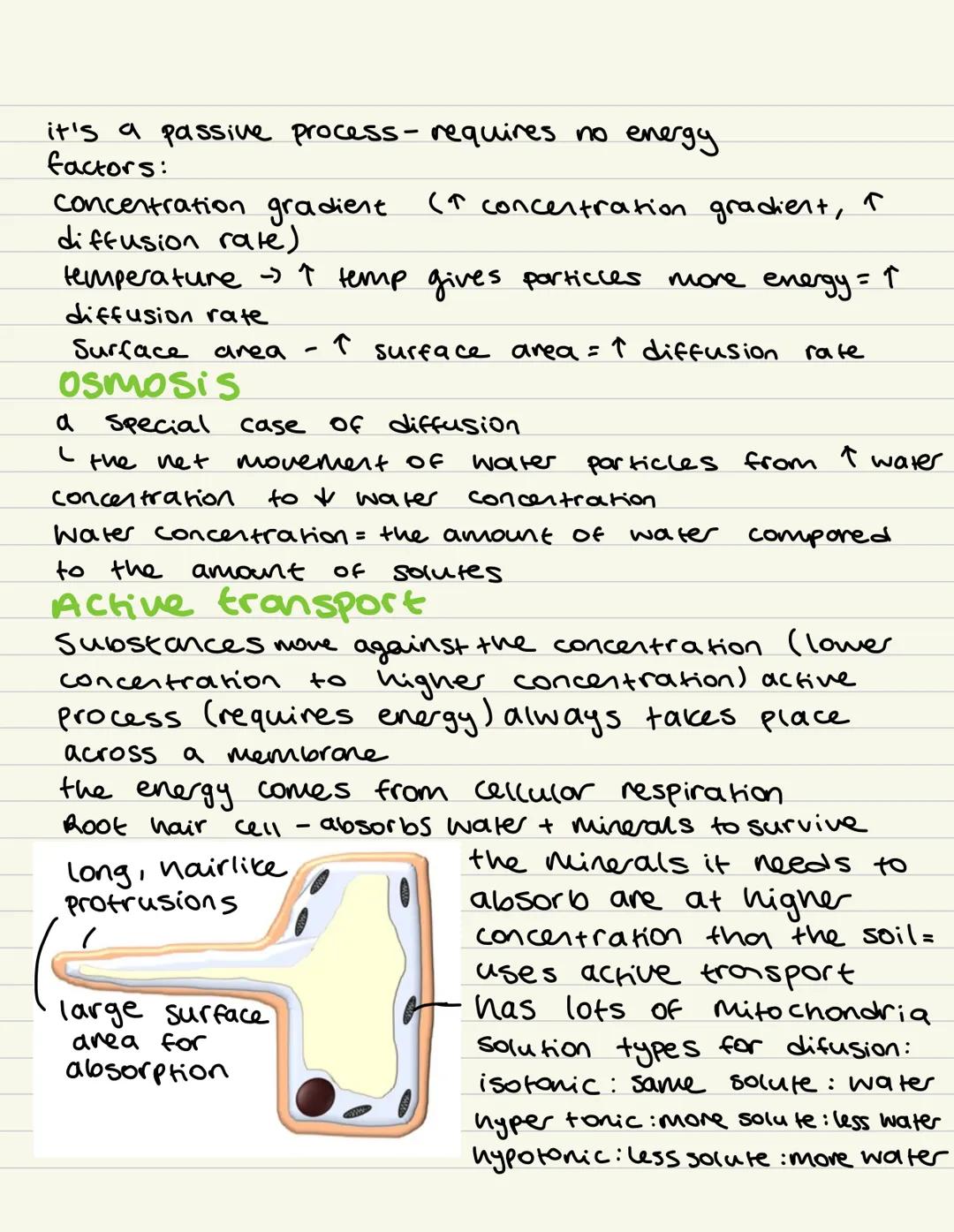 Prokaryote eukaryotes
Cell Biology
Cell Structures
animal plant - eukaryoles.
bacteria prokaryotes.
CELL STRUCTURE
BYJU'S
-6
Nucleus
Endopl