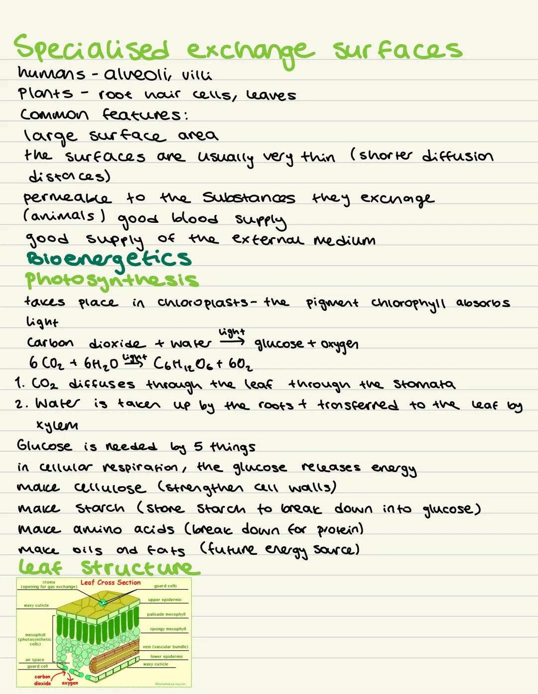 Prokaryote eukaryotes
Cell Biology
Cell Structures
animal plant - eukaryoles.
bacteria prokaryotes.
CELL STRUCTURE
BYJU'S
-6
Nucleus
Endopl