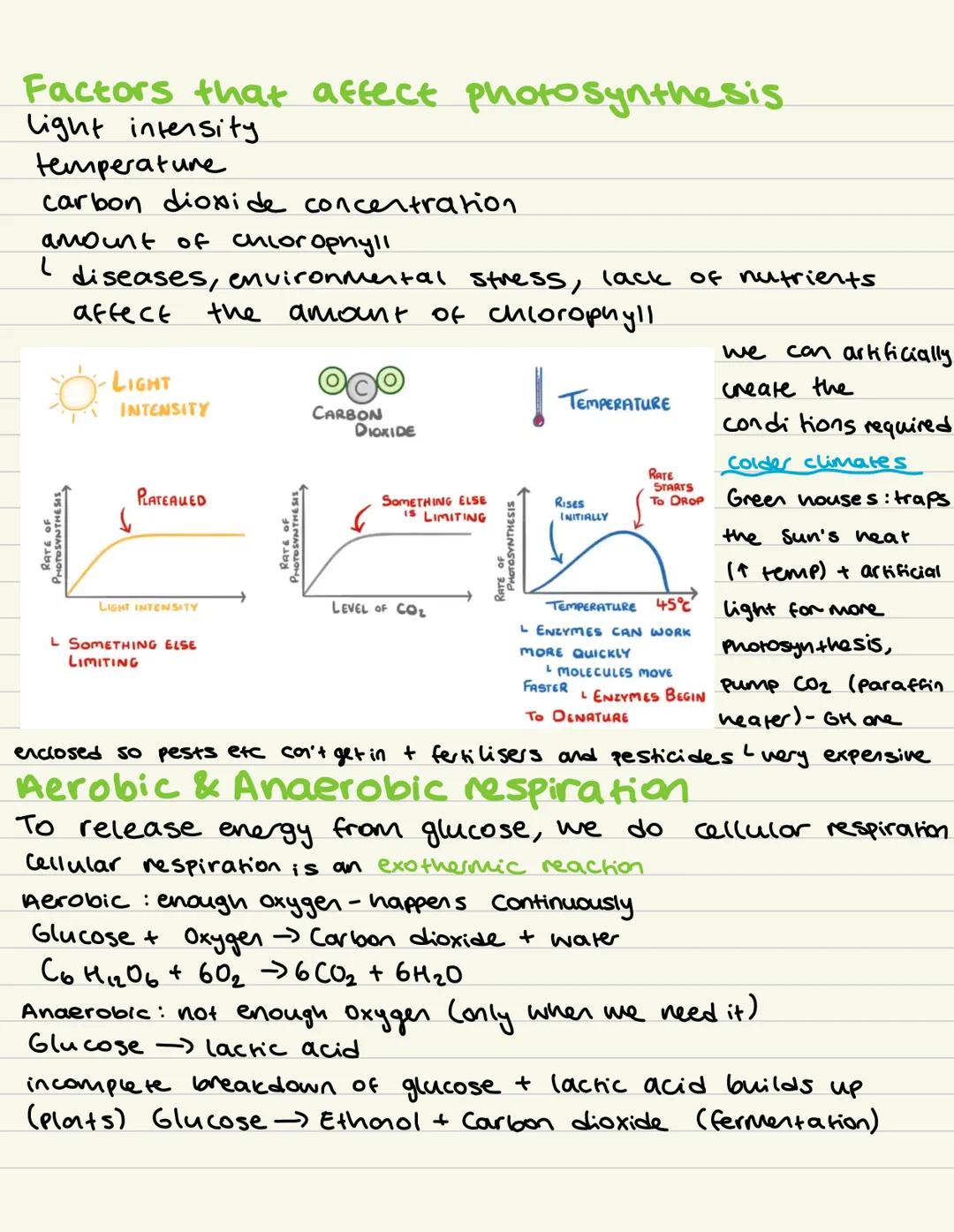 Prokaryote eukaryotes
Cell Biology
Cell Structures
animal plant - eukaryoles.
bacteria prokaryotes.
CELL STRUCTURE
BYJU'S
-6
Nucleus
Endopl