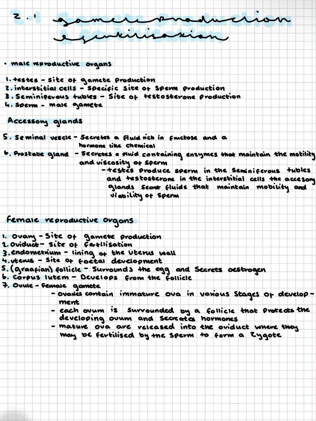 2.1
egenkiri
.
male reproductive organs
1. testes-site of gamete production
2. interstitial cells - specific site of sperm production
3. Sem