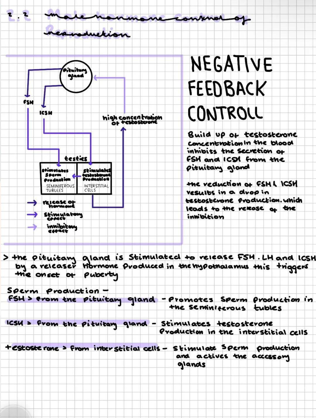 2.1
egenkiri
.
male reproductive organs
1. testes-site of gamete production
2. interstitial cells - specific site of sperm production
3. Sem