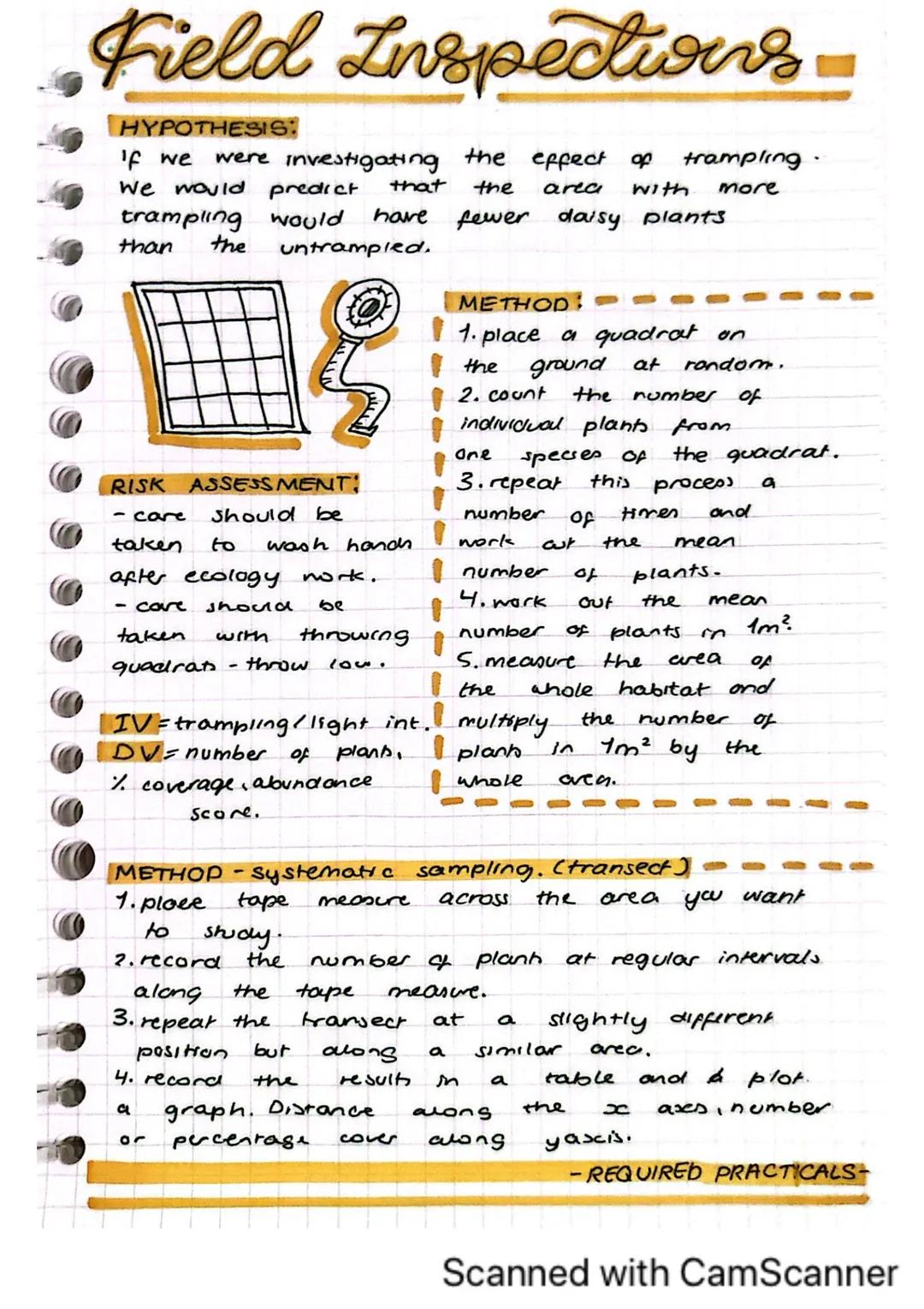 Magnification
• One cell thick.
° • Stain w/ iodine.
• Add cover Slip.
o Slide
on stage.
BIOLOGY
magnification.
wheels.
I
eyepiece.
AM
MICRO