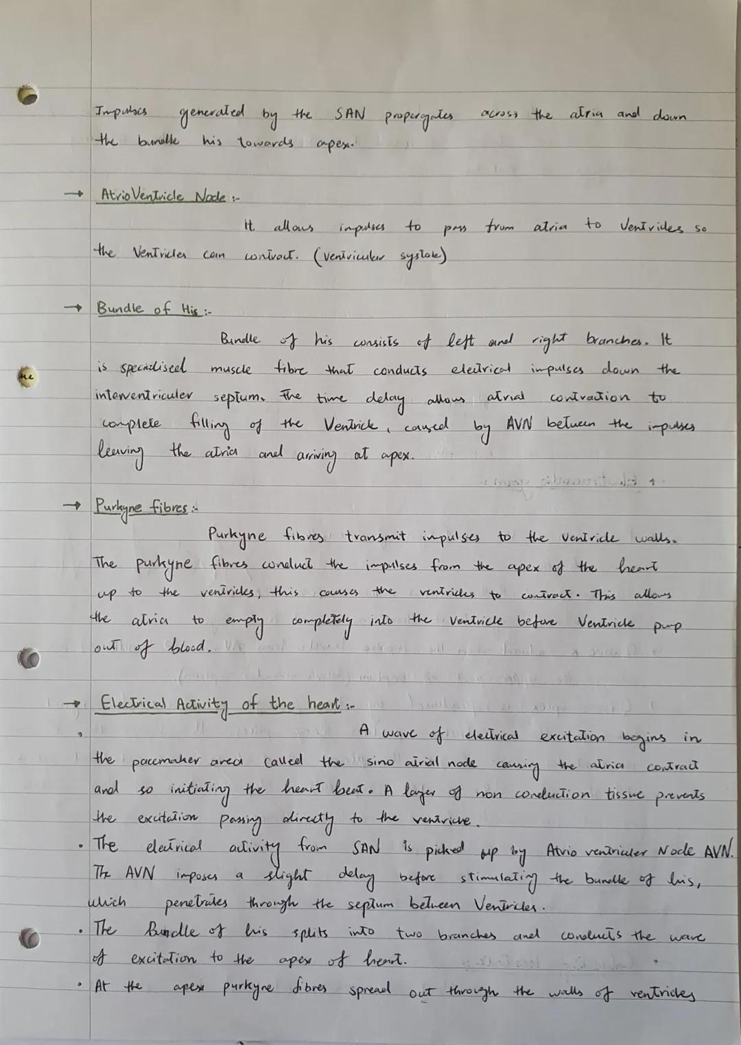 UNIT 5
Cardiac
The Structure of heart...
The human
on top and
two
thick walled Ventricles at the
heart has four chambers. Two Atvias
bottom.