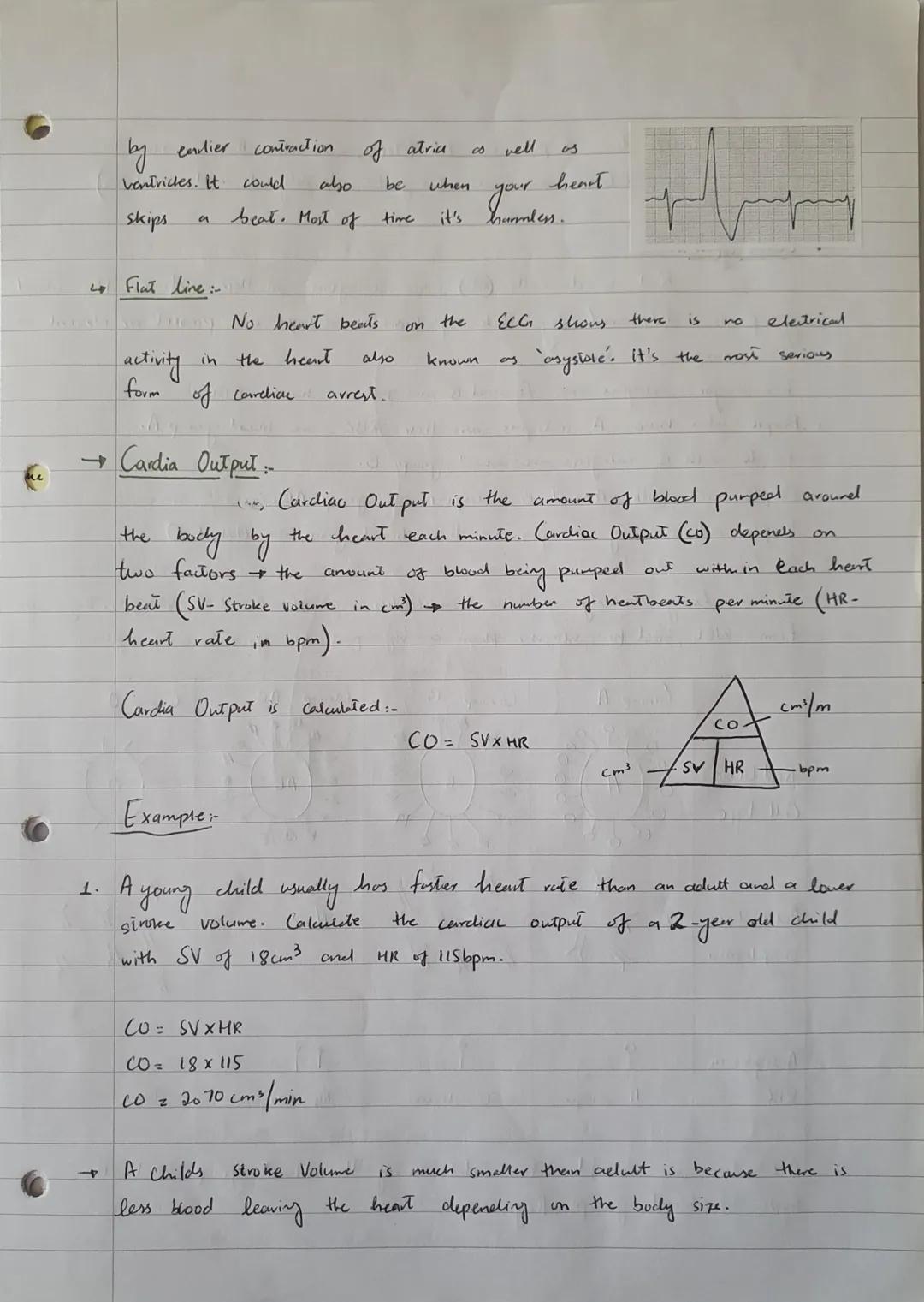 UNIT 5
Cardiac
The Structure of heart...
The human
on top and
two
thick walled Ventricles at the
heart has four chambers. Two Atvias
bottom.