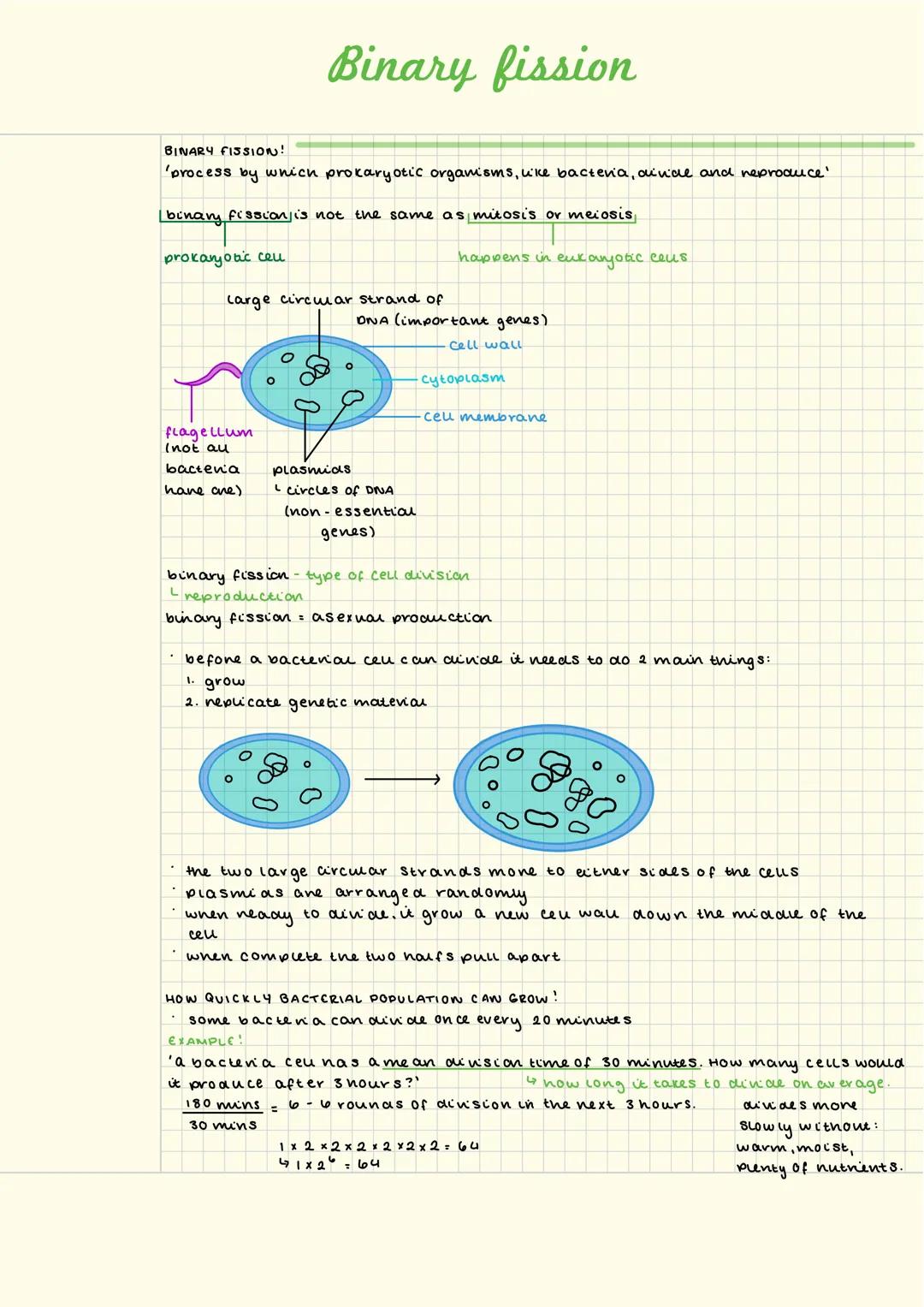 # Binary fission
BINARY FISSION!
'process by which prokaryotic organisms, uke bacteria, ainal and reproduce'
binary fission is not the sam