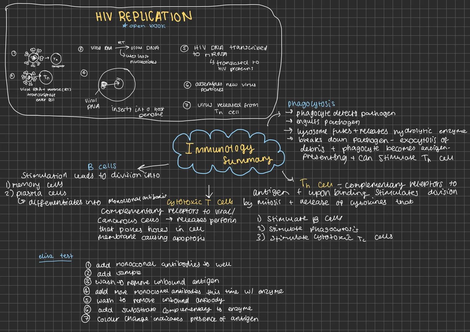 HIV REPLICATION
open book
0
In
receptor
viral RNA+ reverse (RT)
transcriptase
enter cell
(4
RT
viral RNA
viral DNA
Gutes host
nucleotides
โค