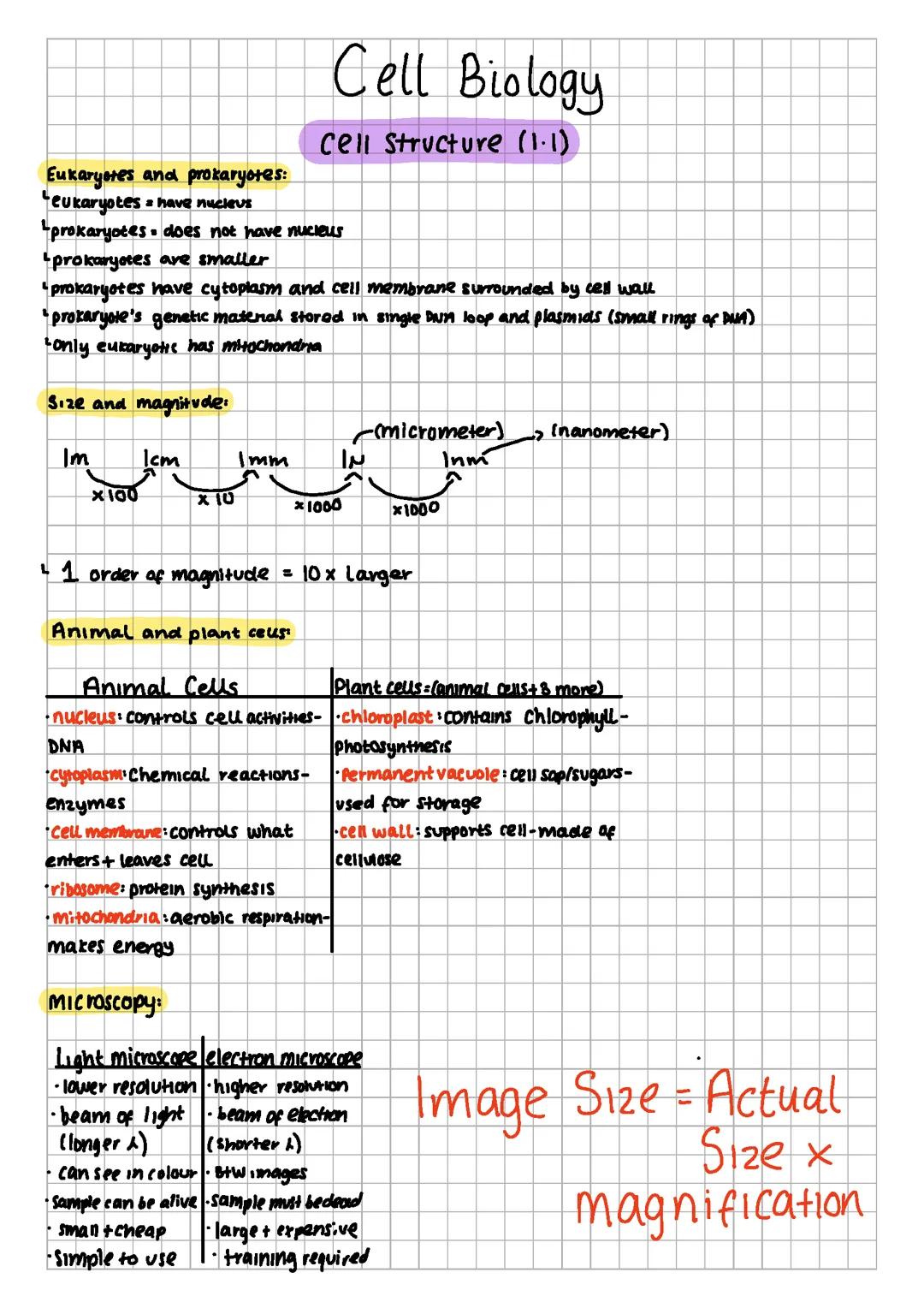 B1 GCSE Cell Biology