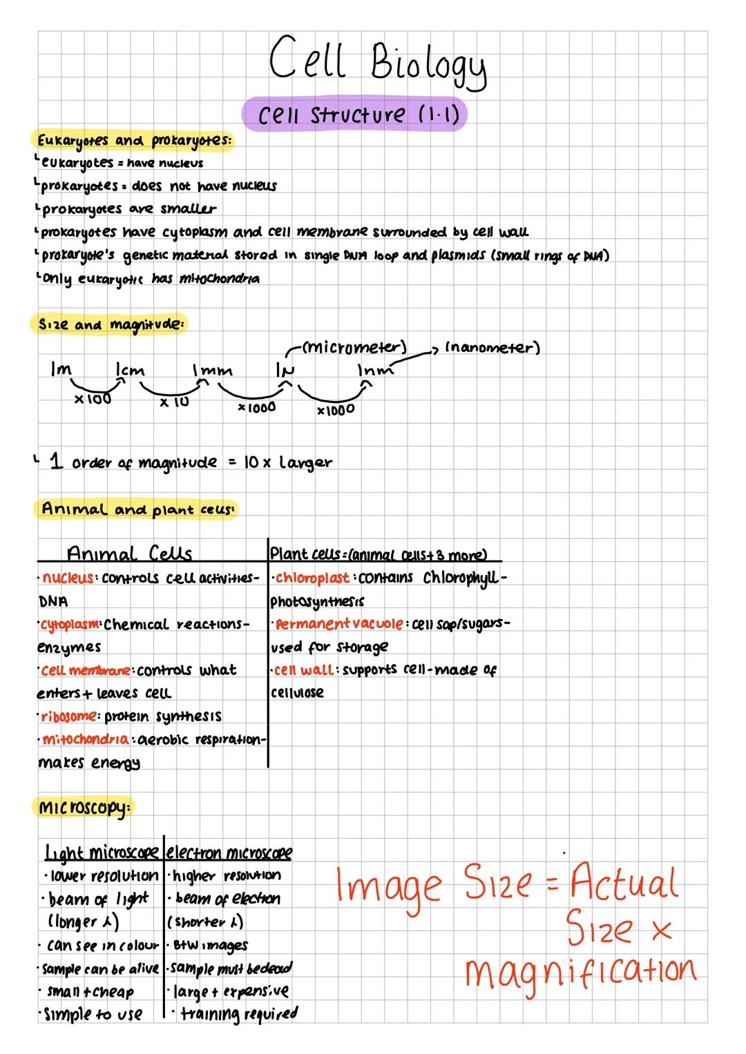 Eukaryotes and prokaryotes:
Leukaryotes = have nucleus
Cell Biology
Cell Structure (1.1)
"prokaryotes does not have nucleus
prokaryotes are