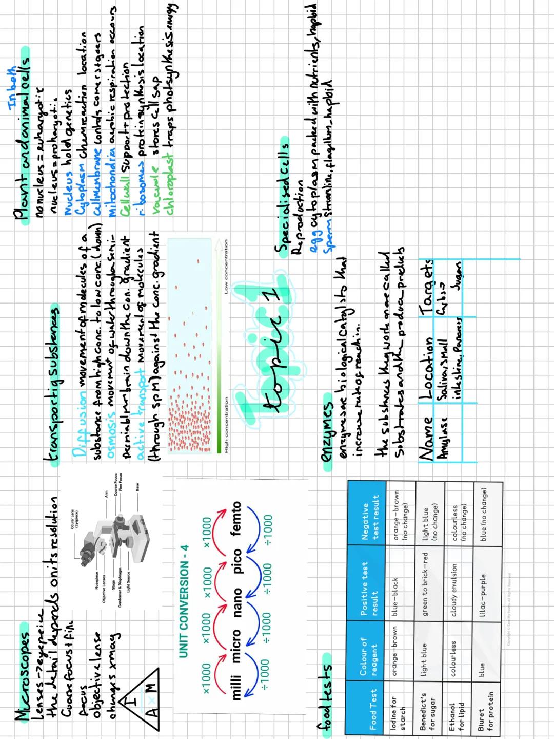 Paper
1 Microscopes
Lenses-reyepeice
the detail depends onits resolution
Coarse focus + fin
focus
objective lense
changes xmag
AM
UNIT CO