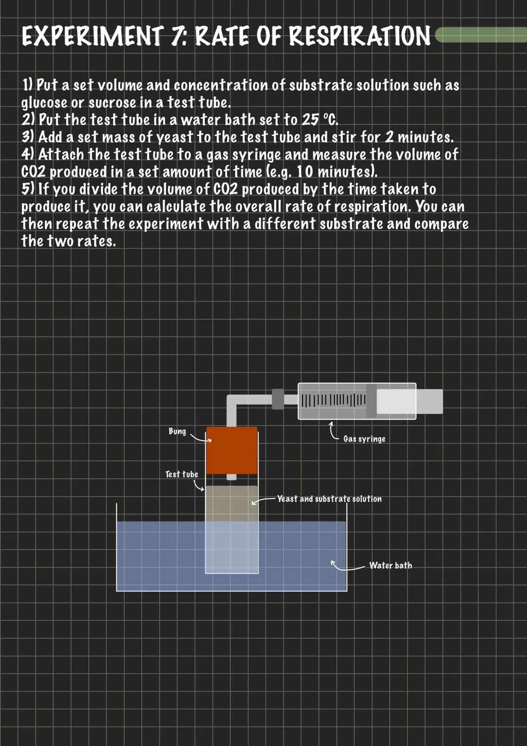 # EXPERIMENT 1: MICROSCOPY
1) Take a thin slice of your specimen so light can pass through it.
2) Take a clean slide and use a pipette to p