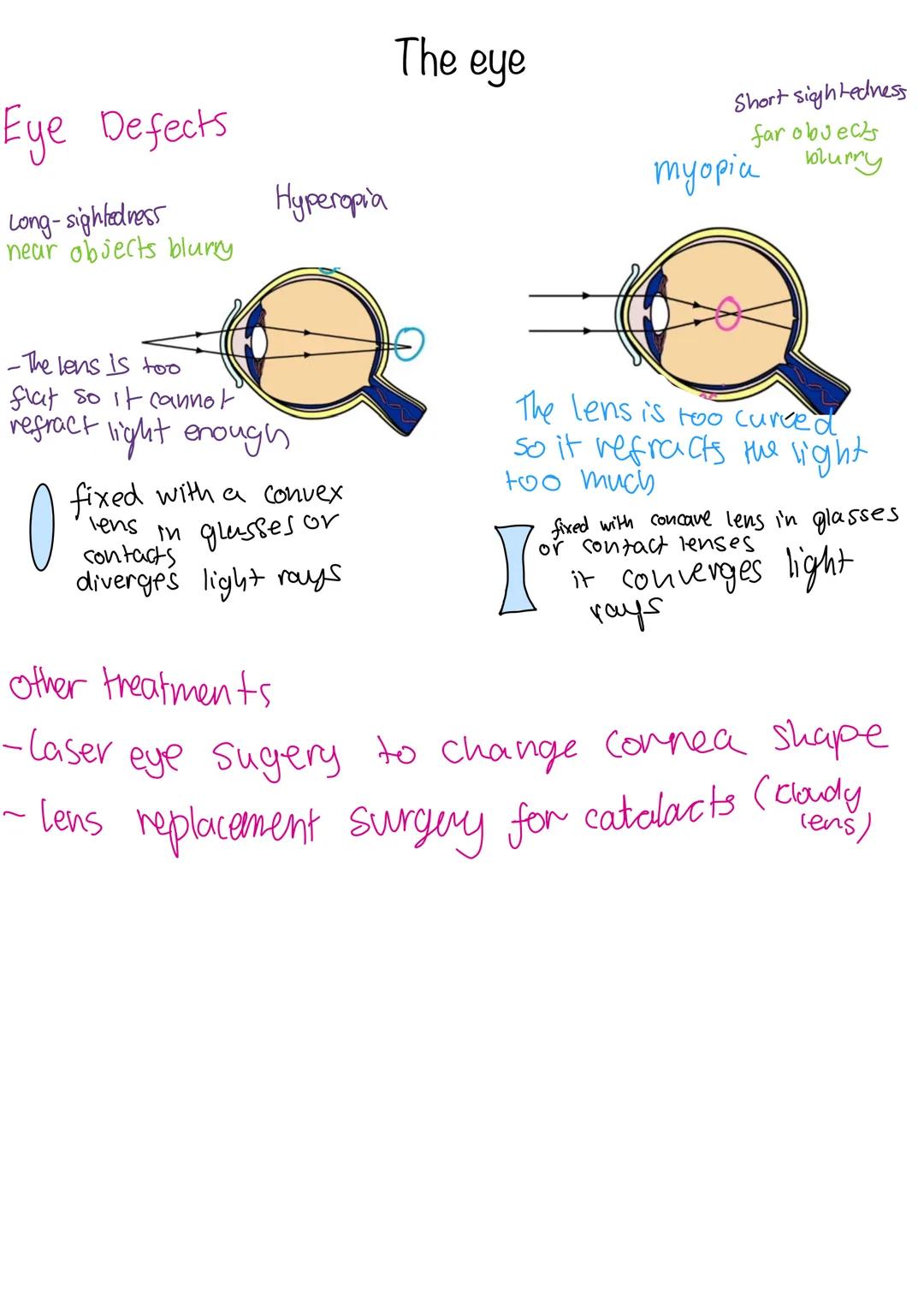 COMPOSITION NOTEBOOK
120 Pados
College Ruled
73x973 im
010 Homeostasis
Homeostasis is the regulation of conditions to maintain an optimum in