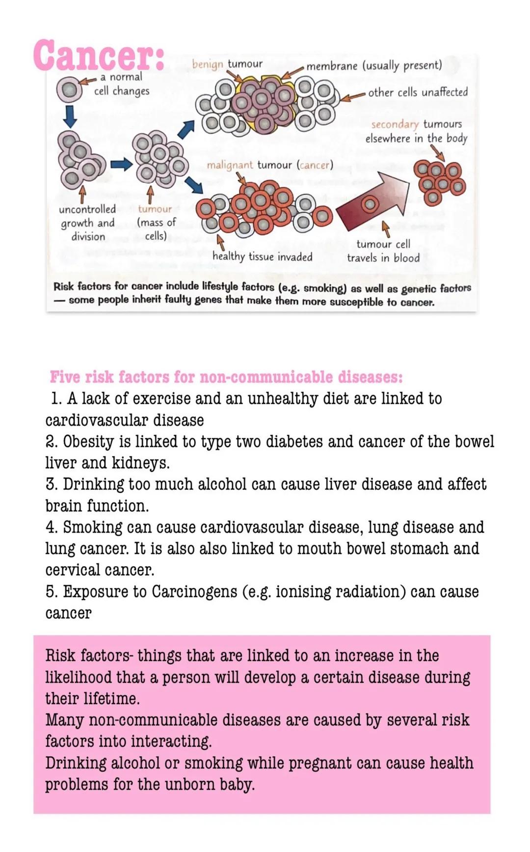 # Organisation
Cell Organisation
Cell a basic building block
that all living organisms have
Tissue a group of similar cells
that work toget
