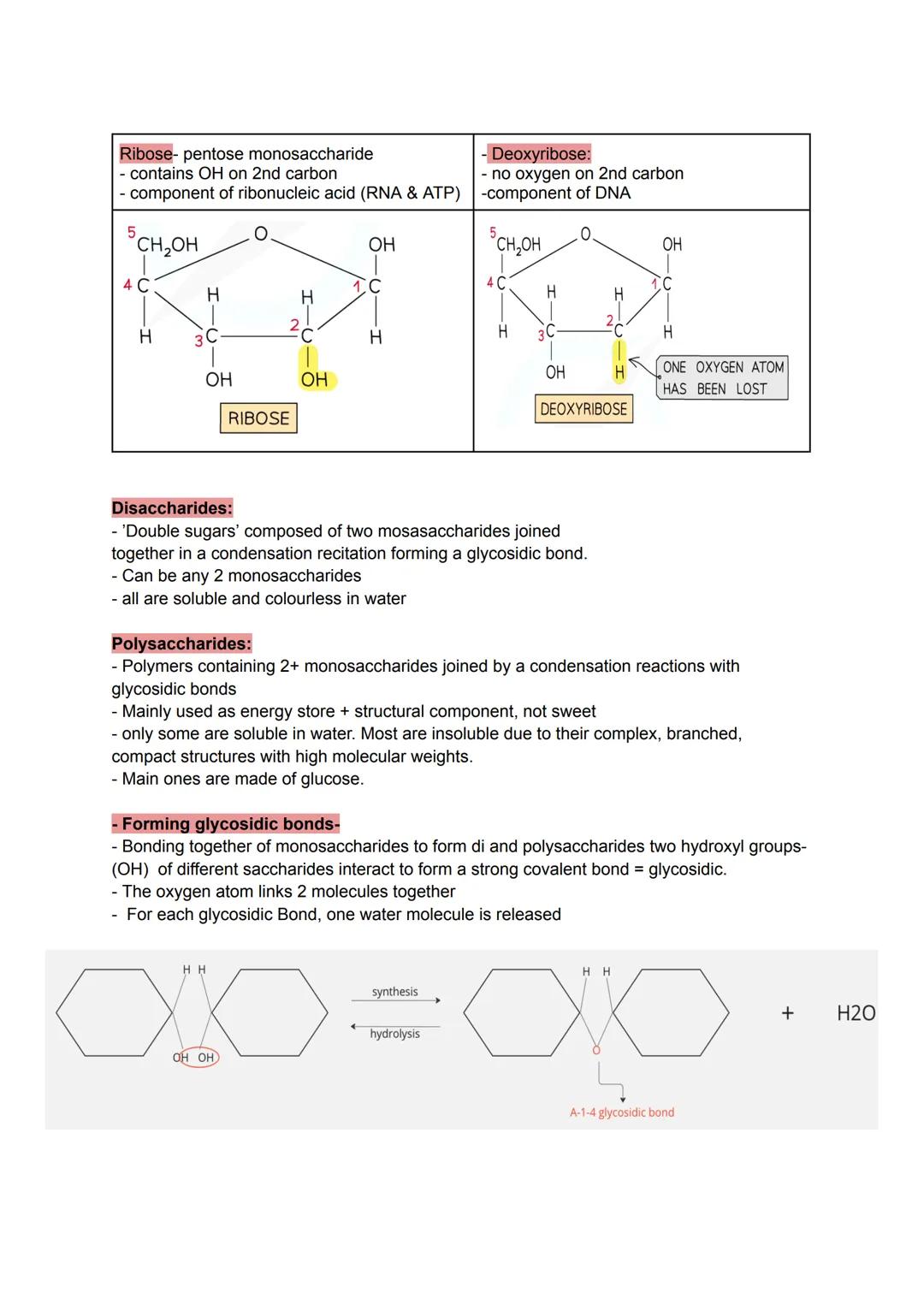 Monomer-small identical chemical subunits that serve as a building block of polymers.
- polymers - large molecules consisting of identical/