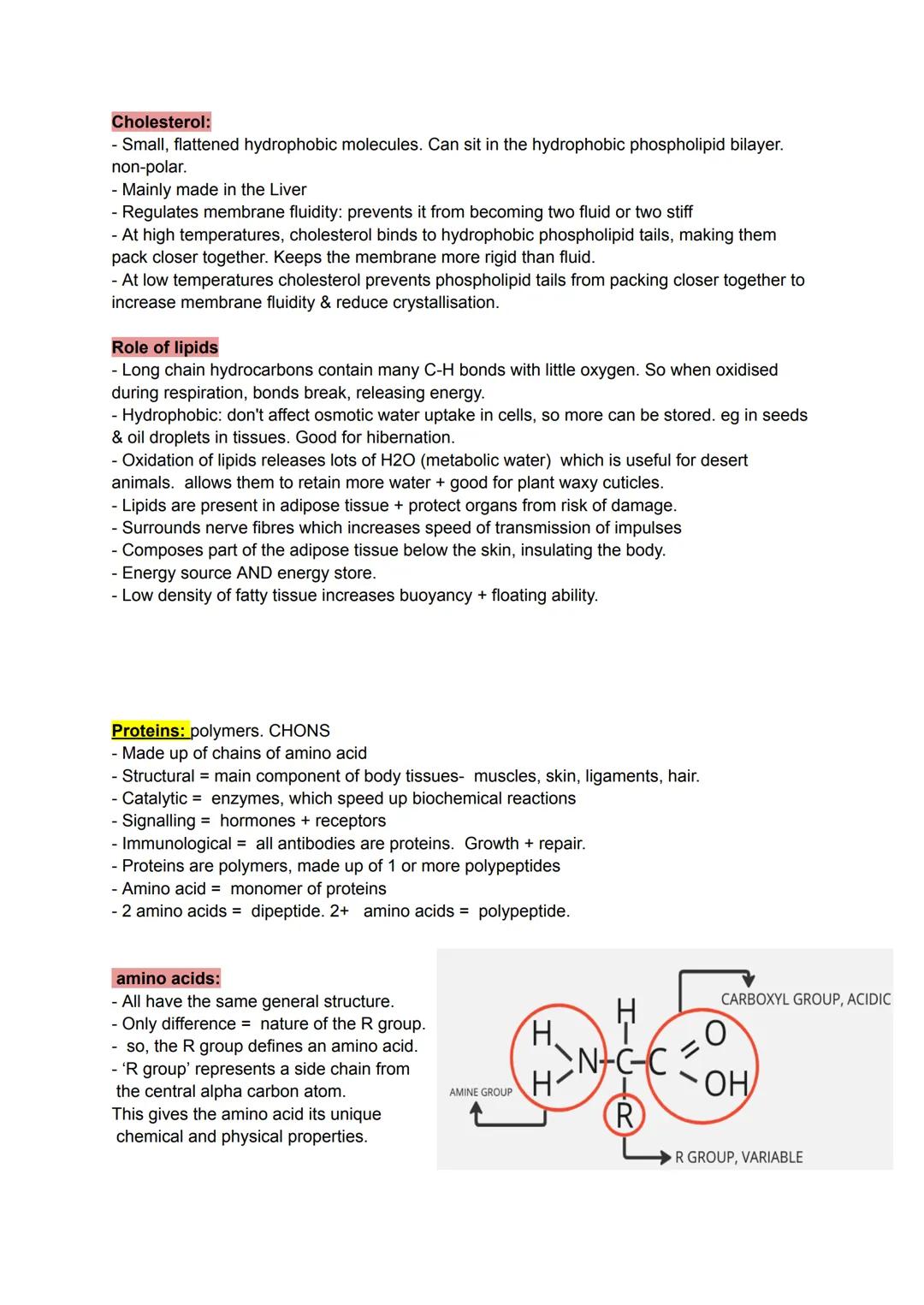 Monomer-small identical chemical subunits that serve as a building block of polymers.
- polymers - large molecules consisting of identical/