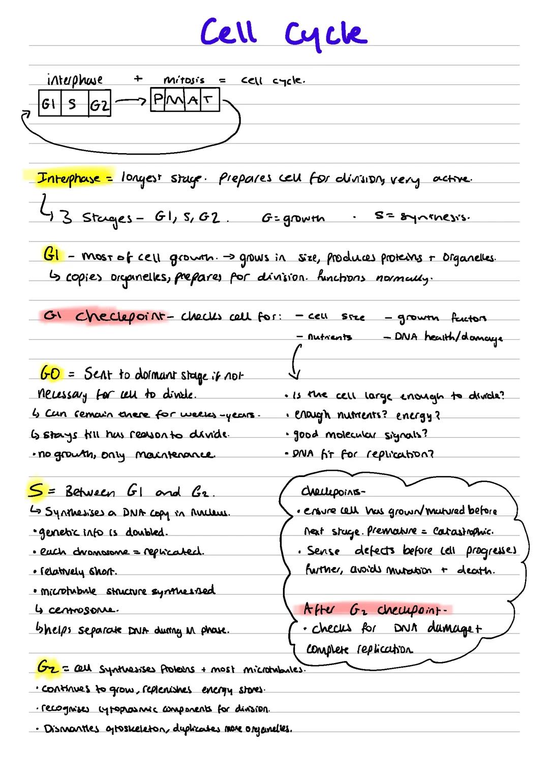 cell cycle, mitosis, meiosis