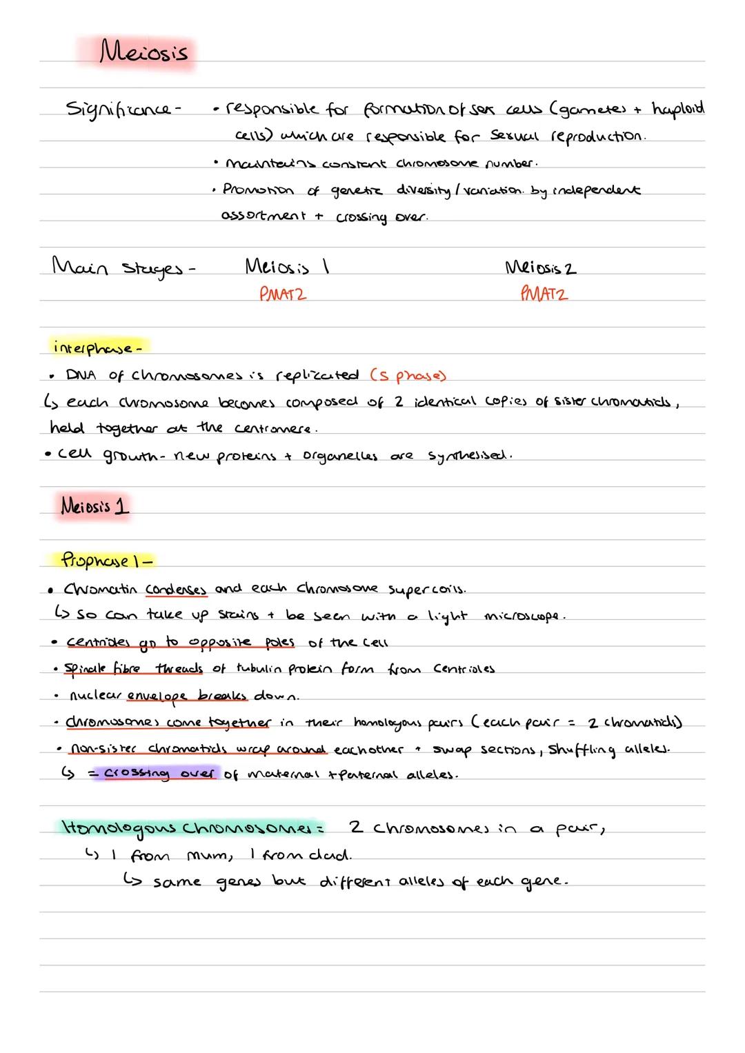 interphase
GIS G2
+
Cell
Cycle
Mitosis
PMAT
= cell cycle.
Interphase = longest stage. Prepares cell for division, very.
43 Stages - G1, 5, G