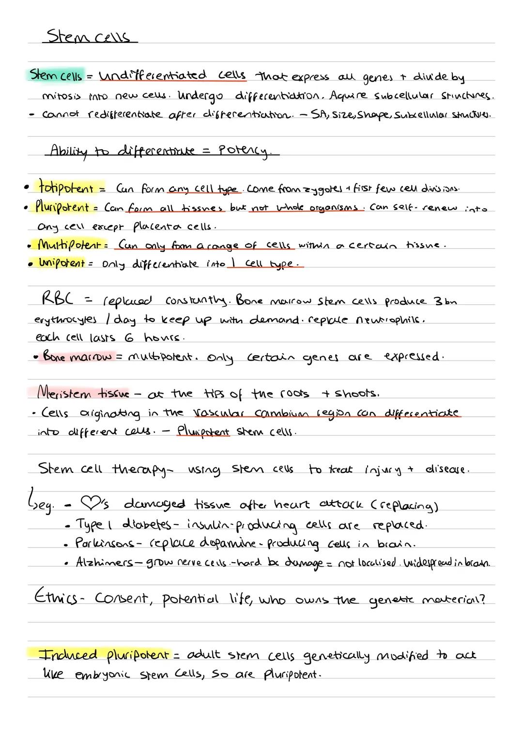 interphase
GIS G2
+
Cell
Cycle
Mitosis
PMAT
= cell cycle.
Interphase = longest stage. Prepares cell for division, very.
43 Stages - G1, 5, G