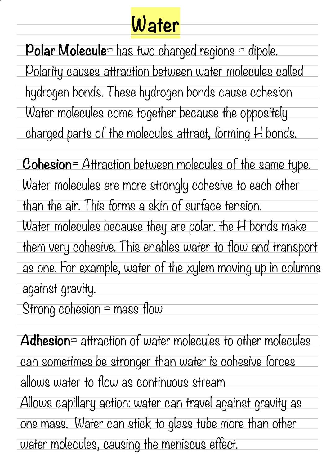 Water Properties in OCR A Level Biology