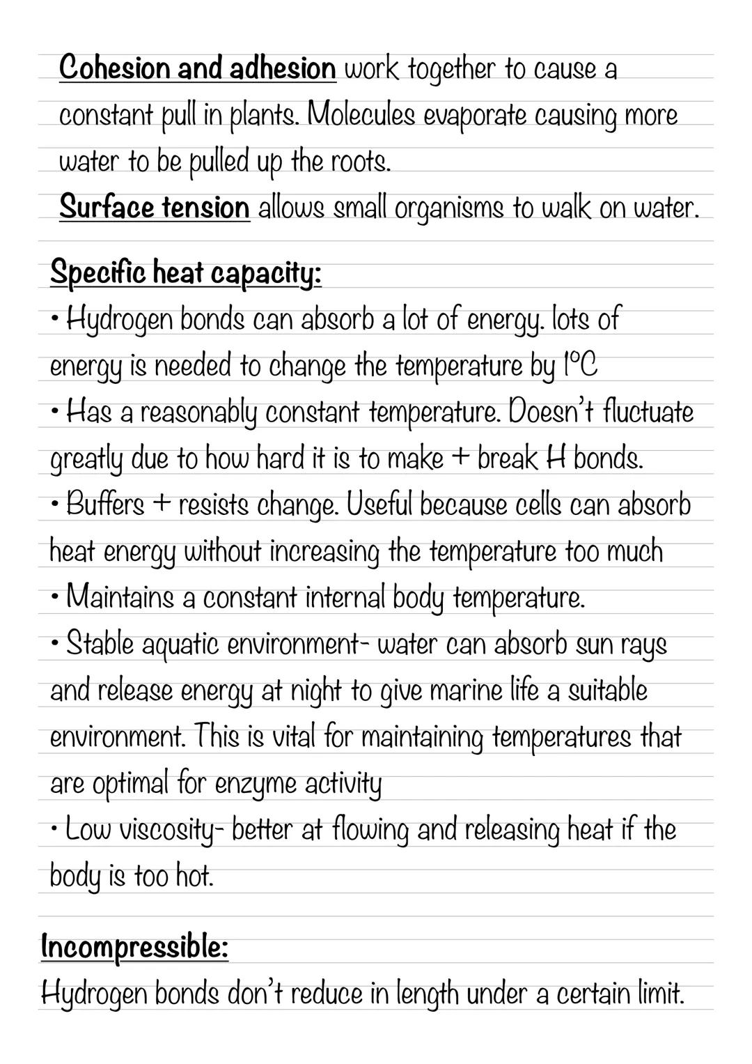 Water
Polar Molecule has two charged regions = dipole.
Polarity causes attraction between water molecules called
hydrogen bonds. These hydro