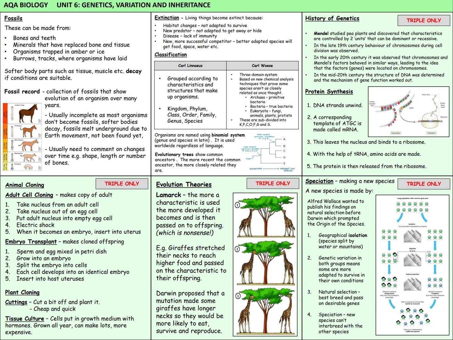 Biology Knowledge Organisers
Unit 1: Cells
Unit 2: Organisation
Unit 3: Infectious Diseases
Unit 4: Bioenergetics
(Photosynthesis and
Respir